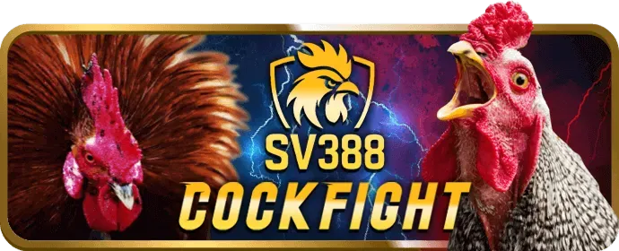 Lợi ích và đặc quyền VIP